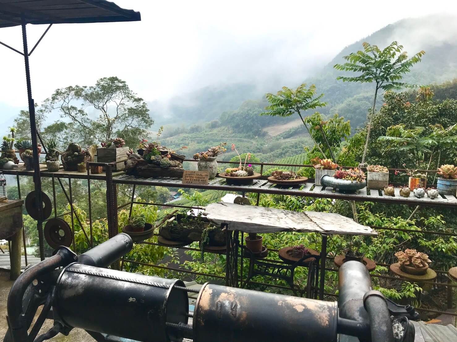 阿將的家23咖啡館