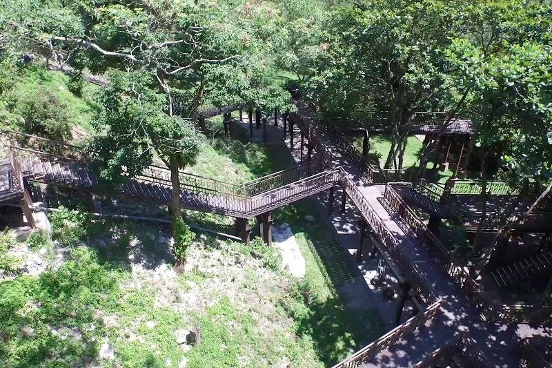 知本國家森林遊樂區