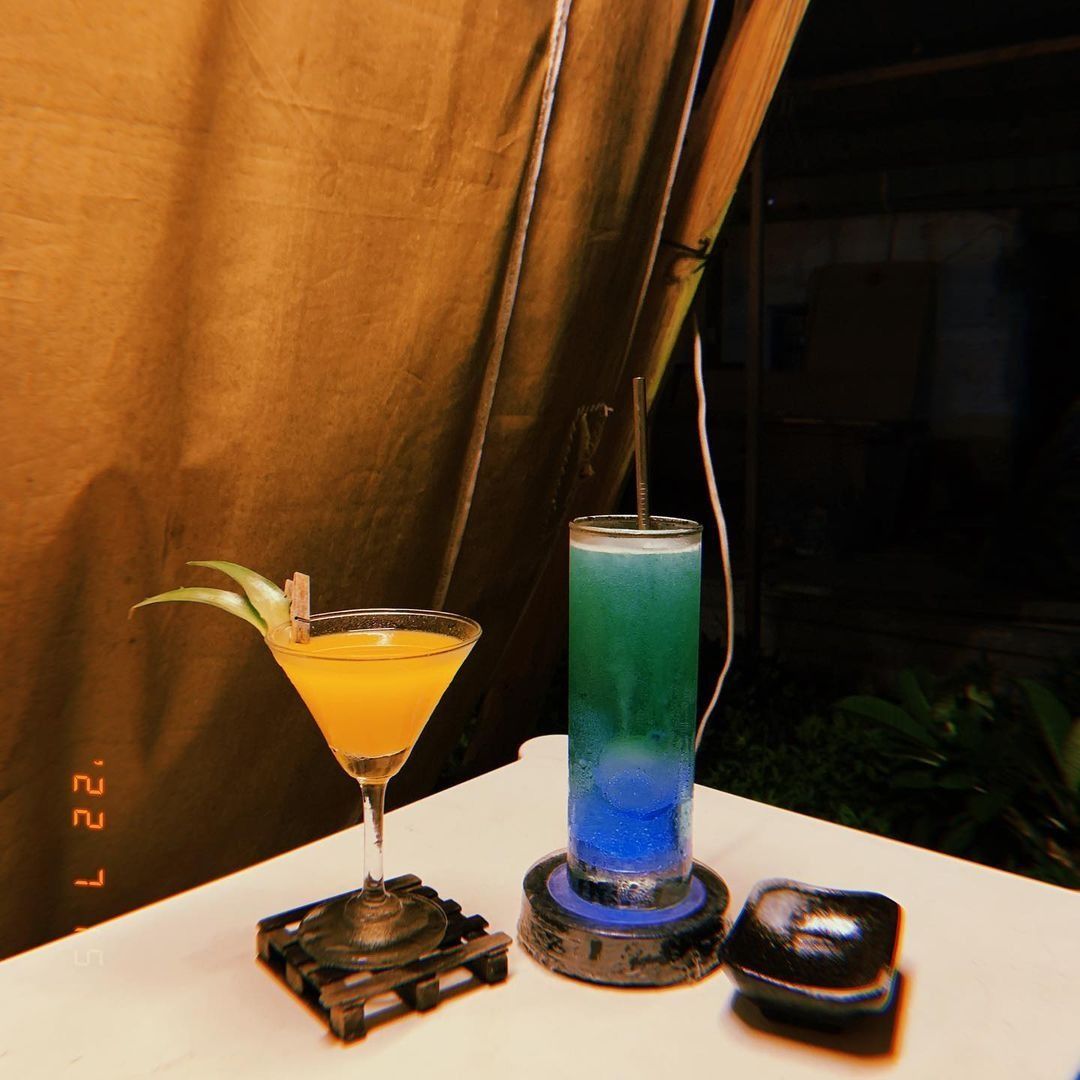 流浪．綠境 OASIS