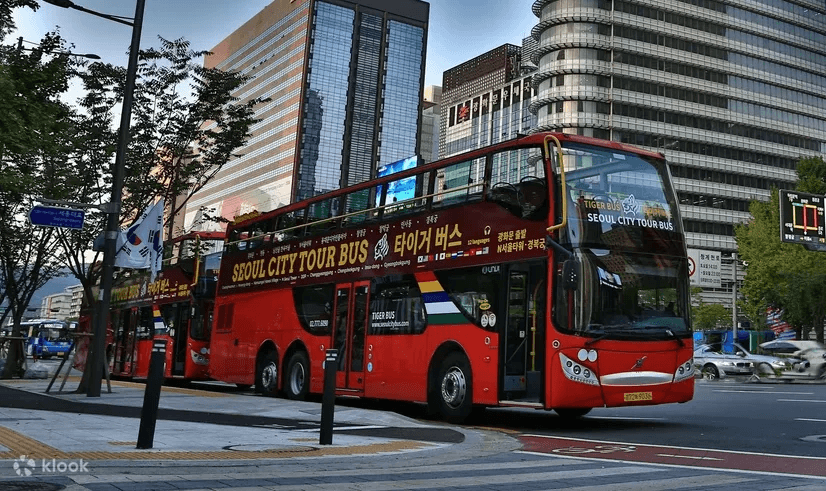 Seoul-Tiger-Bus觀光巴士.jpg