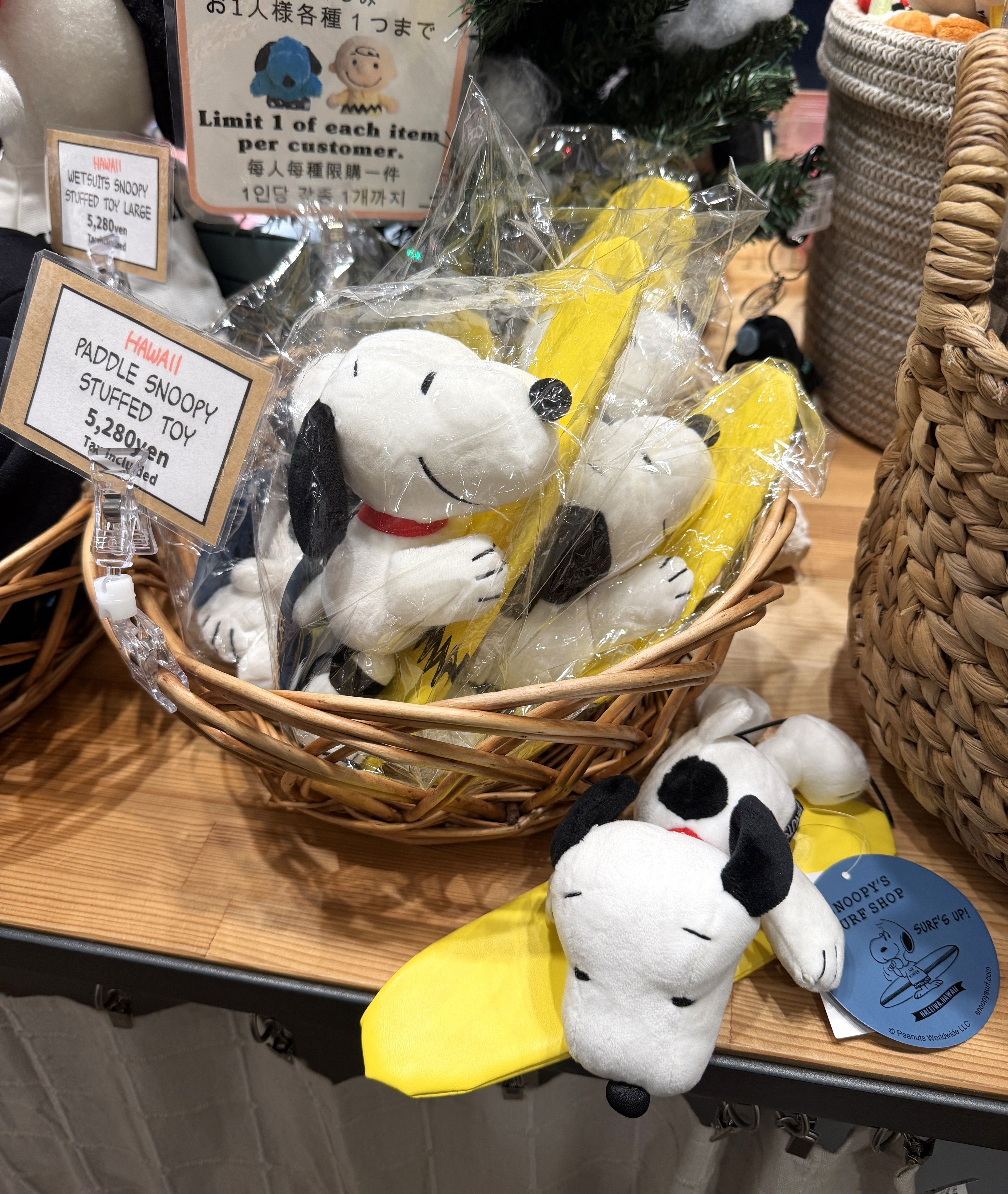 Snoopy's Surf Shop.jpg