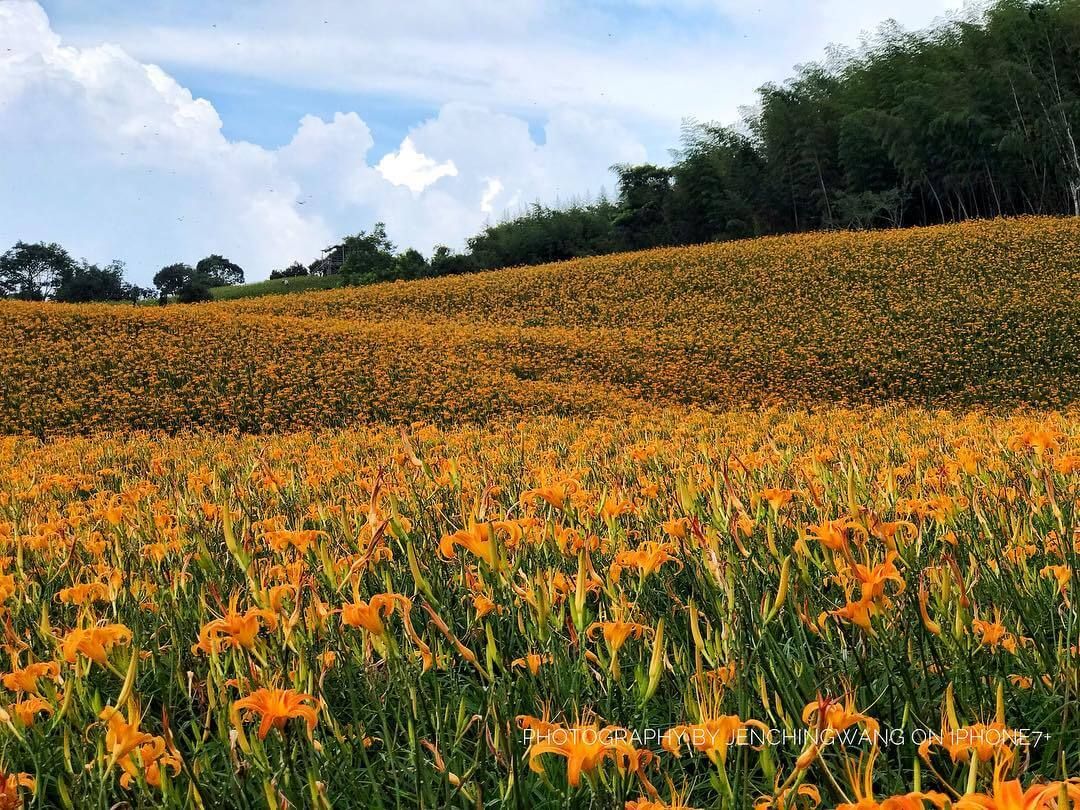 花蓮玉里高寮平地