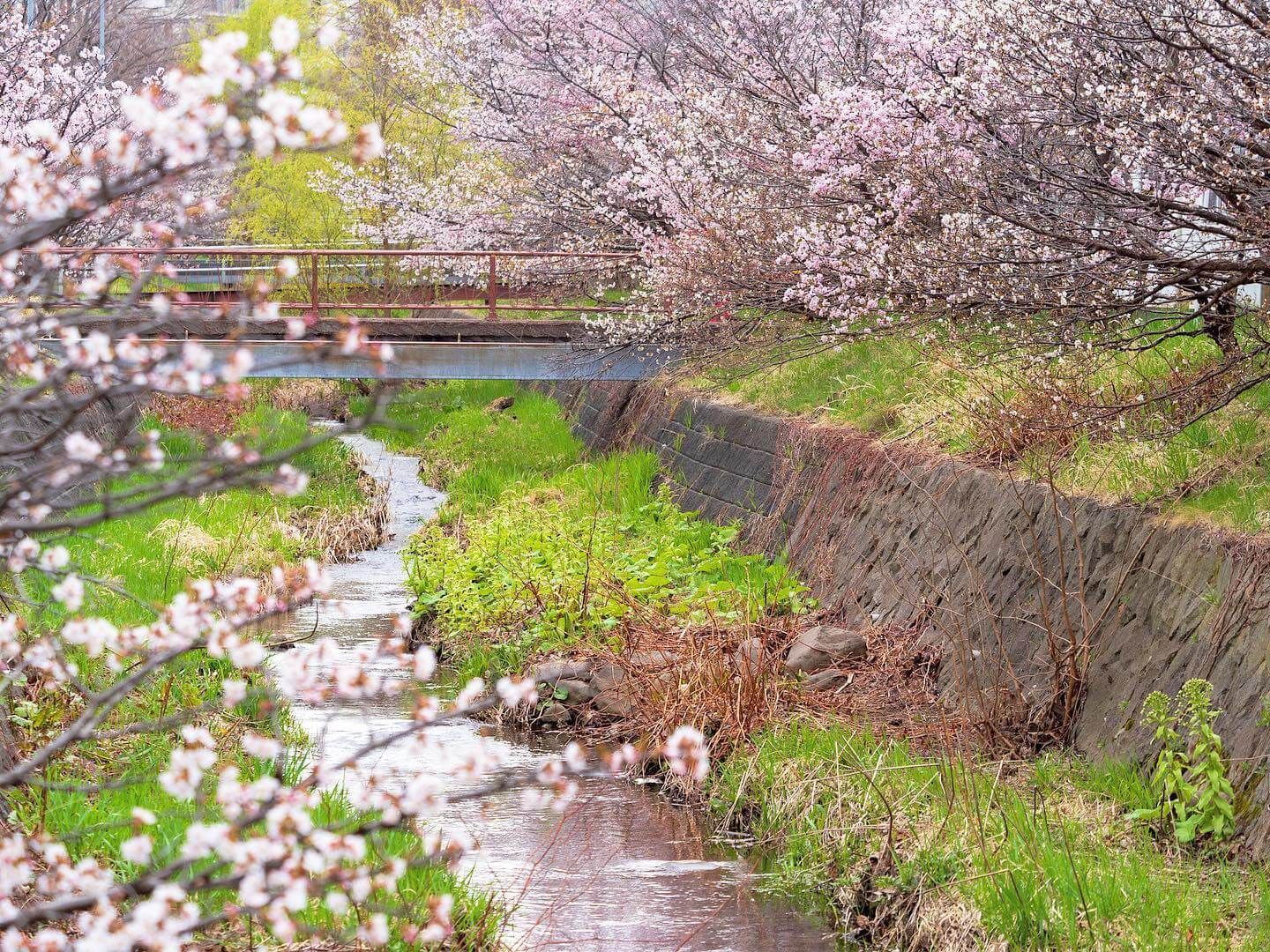 寒地土木研究所