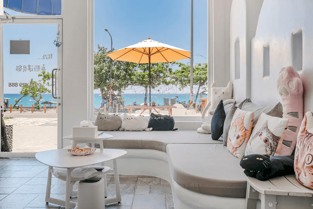 希臘遇見貓民宿