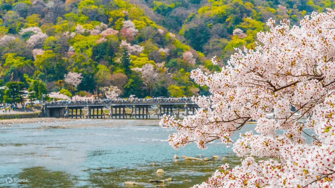 櫻花