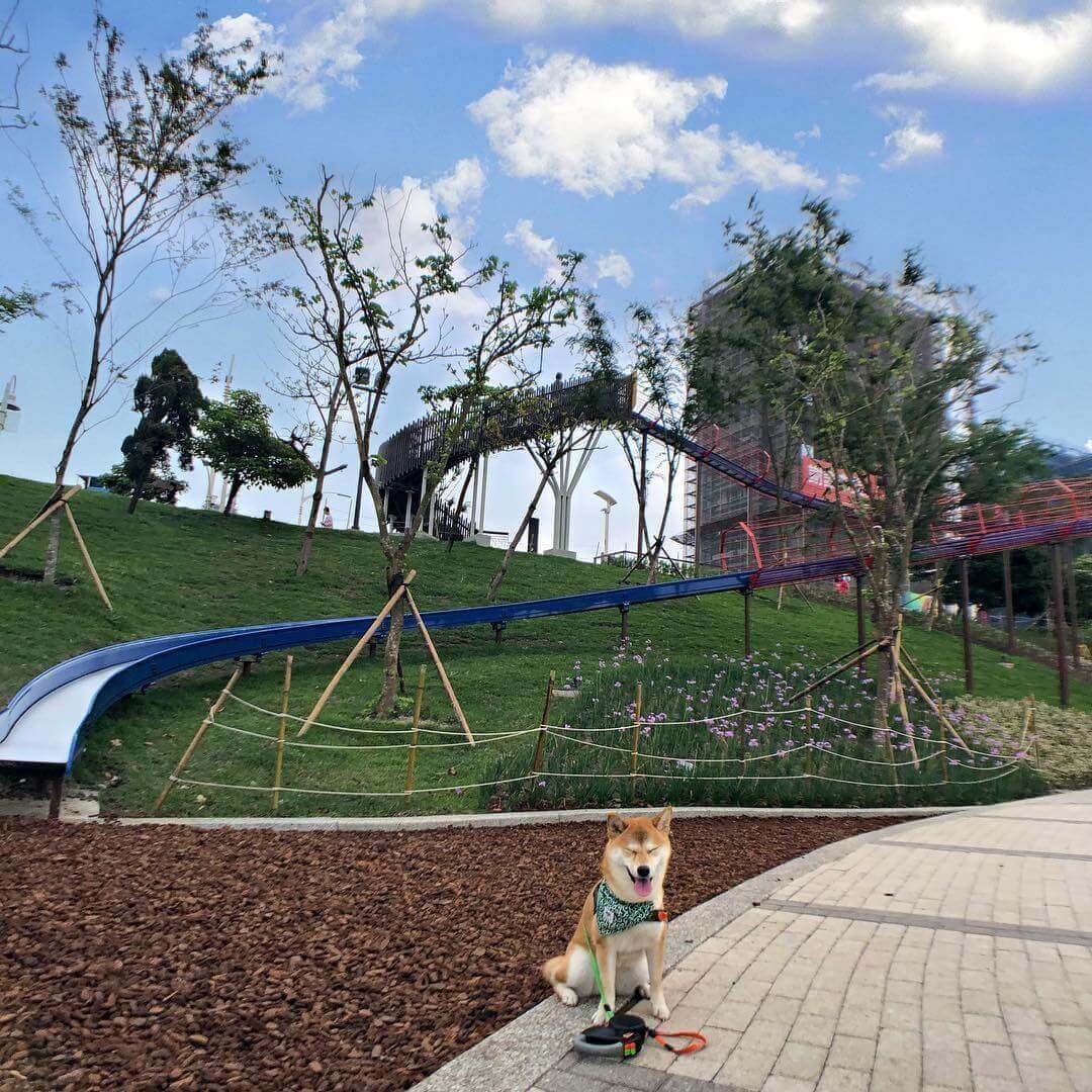 風禾公園