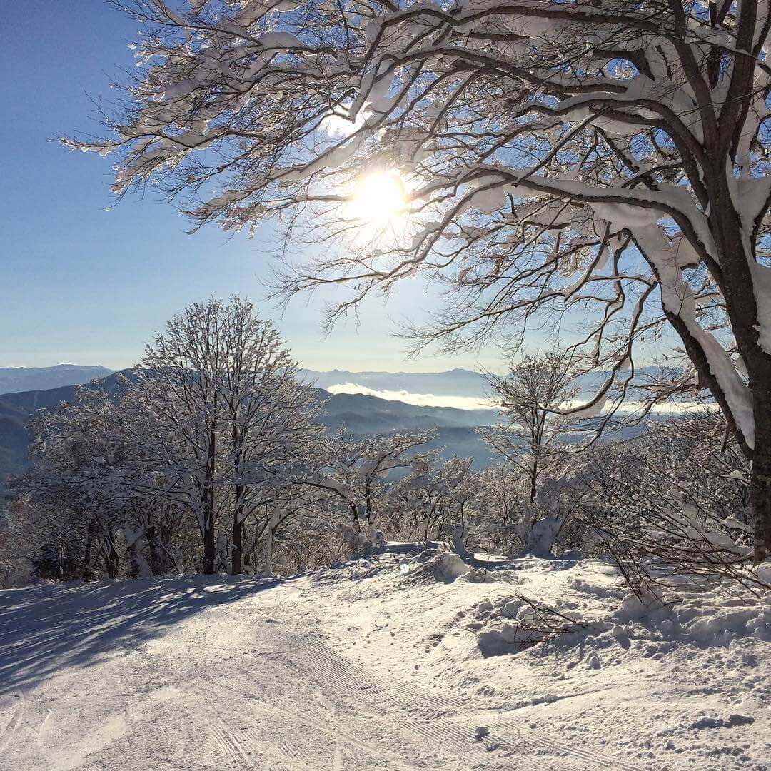 妙高赤倉溫泉滑雪場
