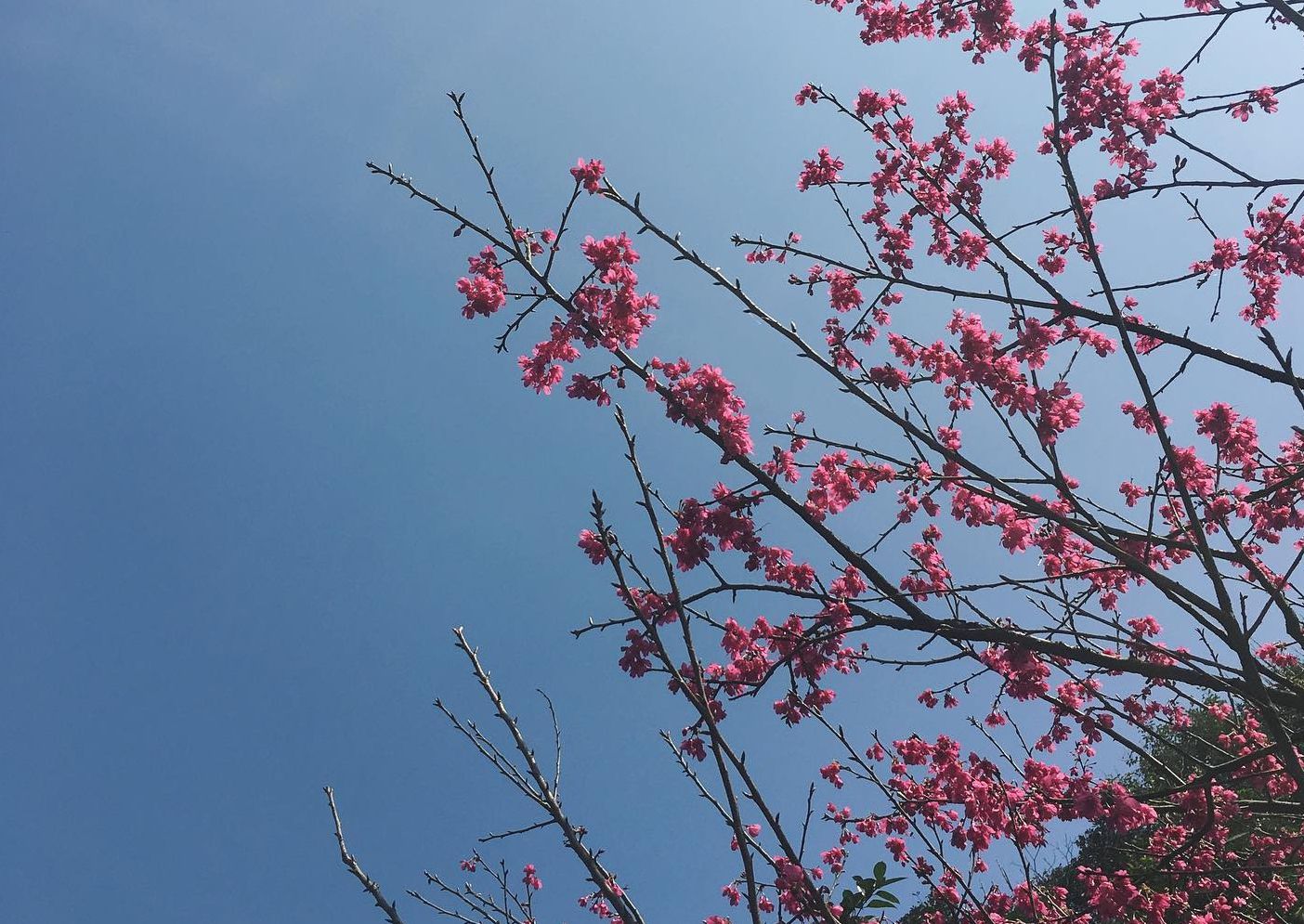 金瓜石黃金博物館