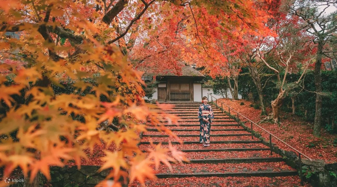 清水寺體驗