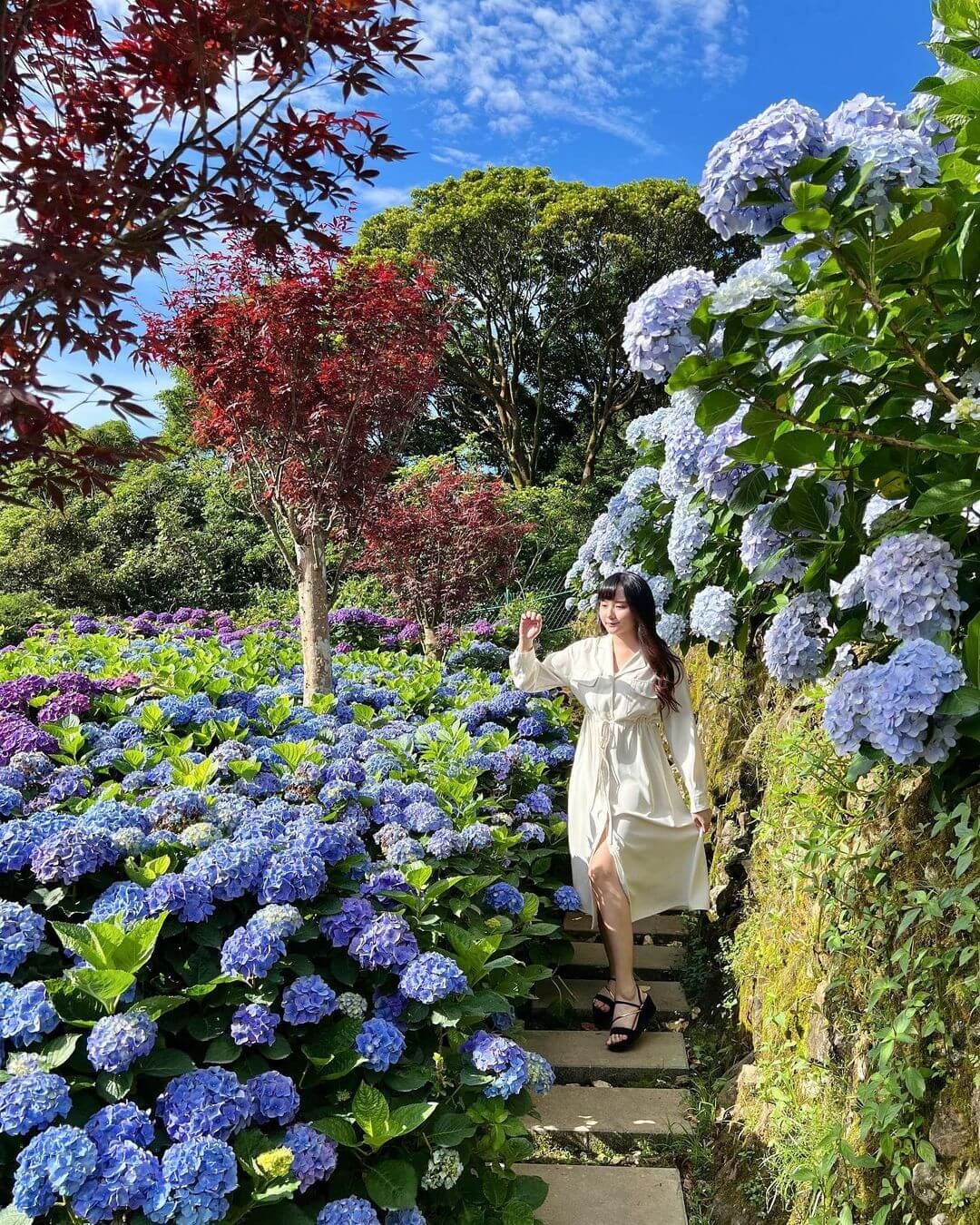 大梯田花卉生態農園