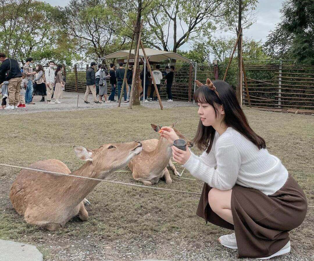 斑比山丘