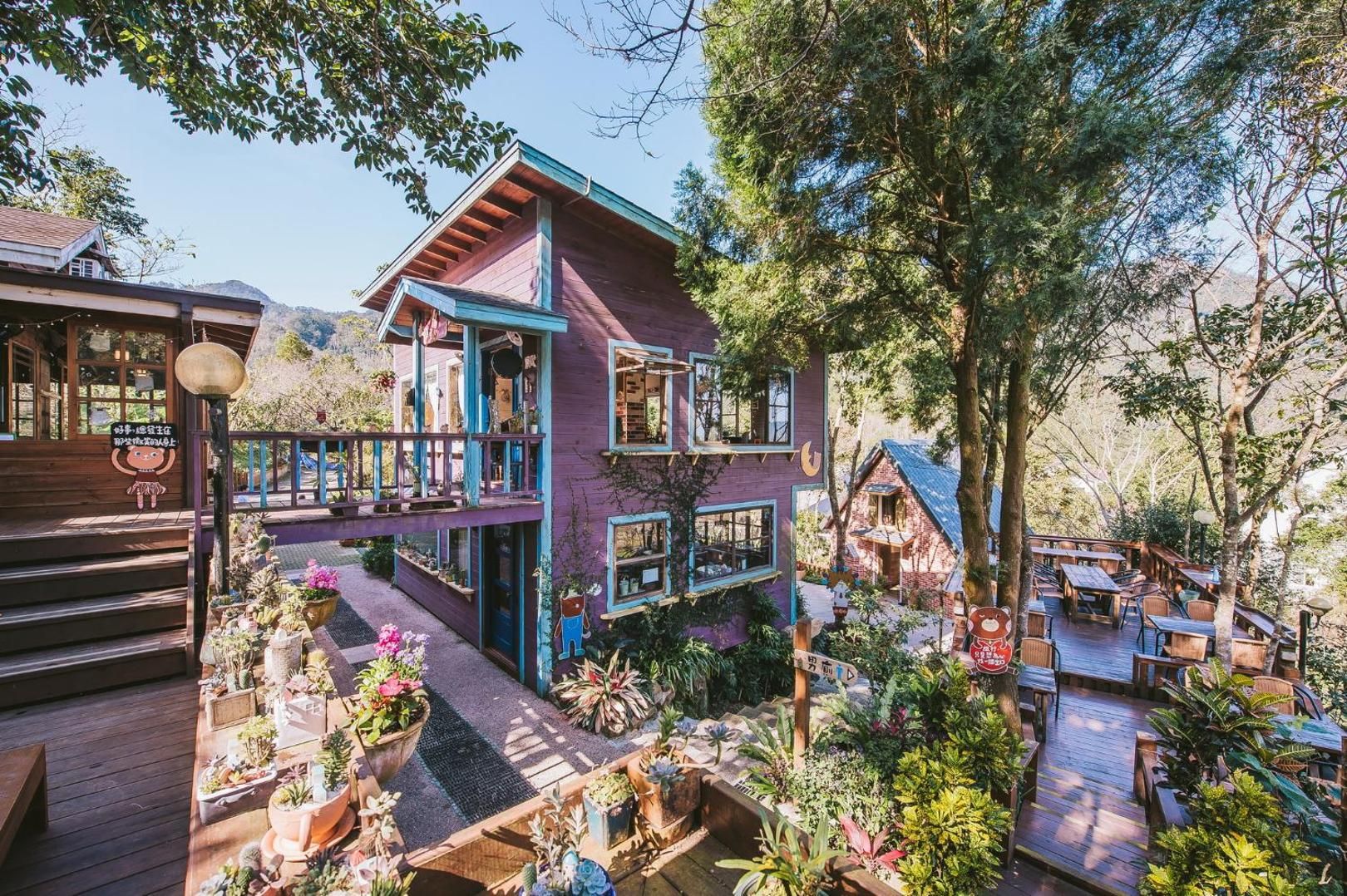 南庄橄欖樹咖啡民宿