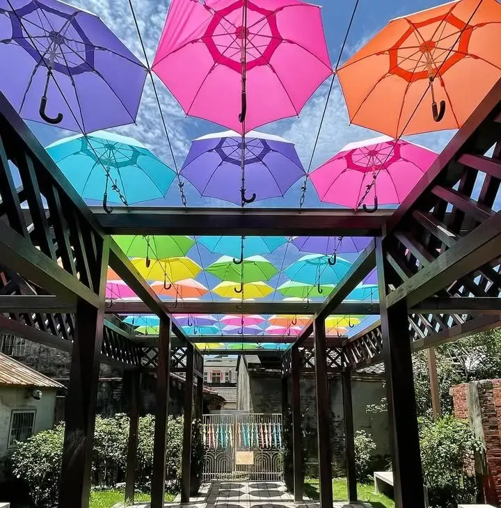 卡里善之樹–為愛撐傘