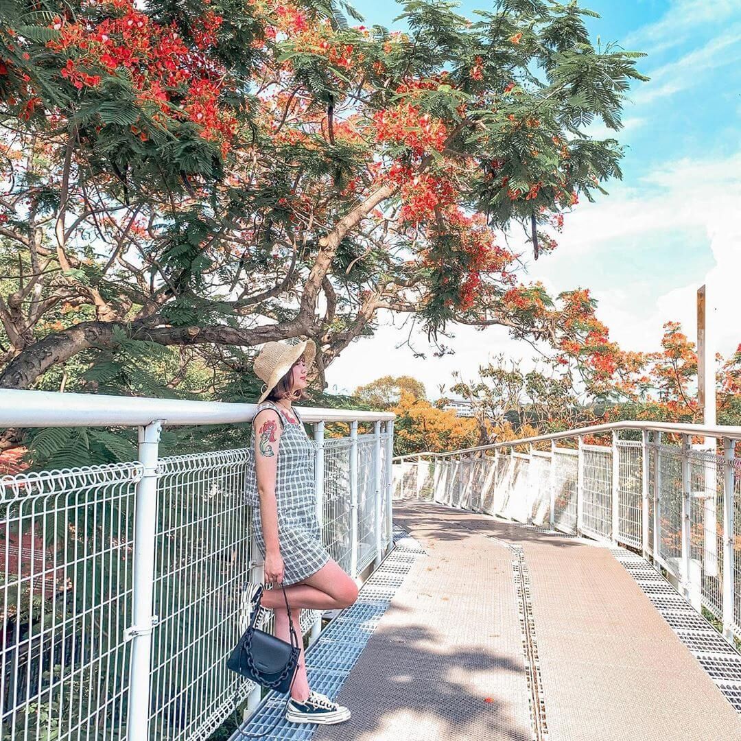 八卦山天空步道