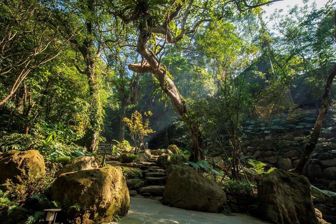 大板根森林溫泉酒店