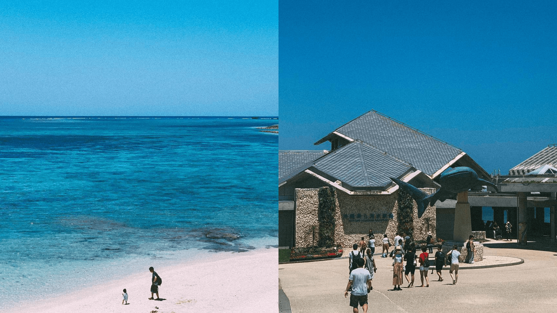 沖繩琉球海炎祭周邊景點—沖繩美麗海水族館
