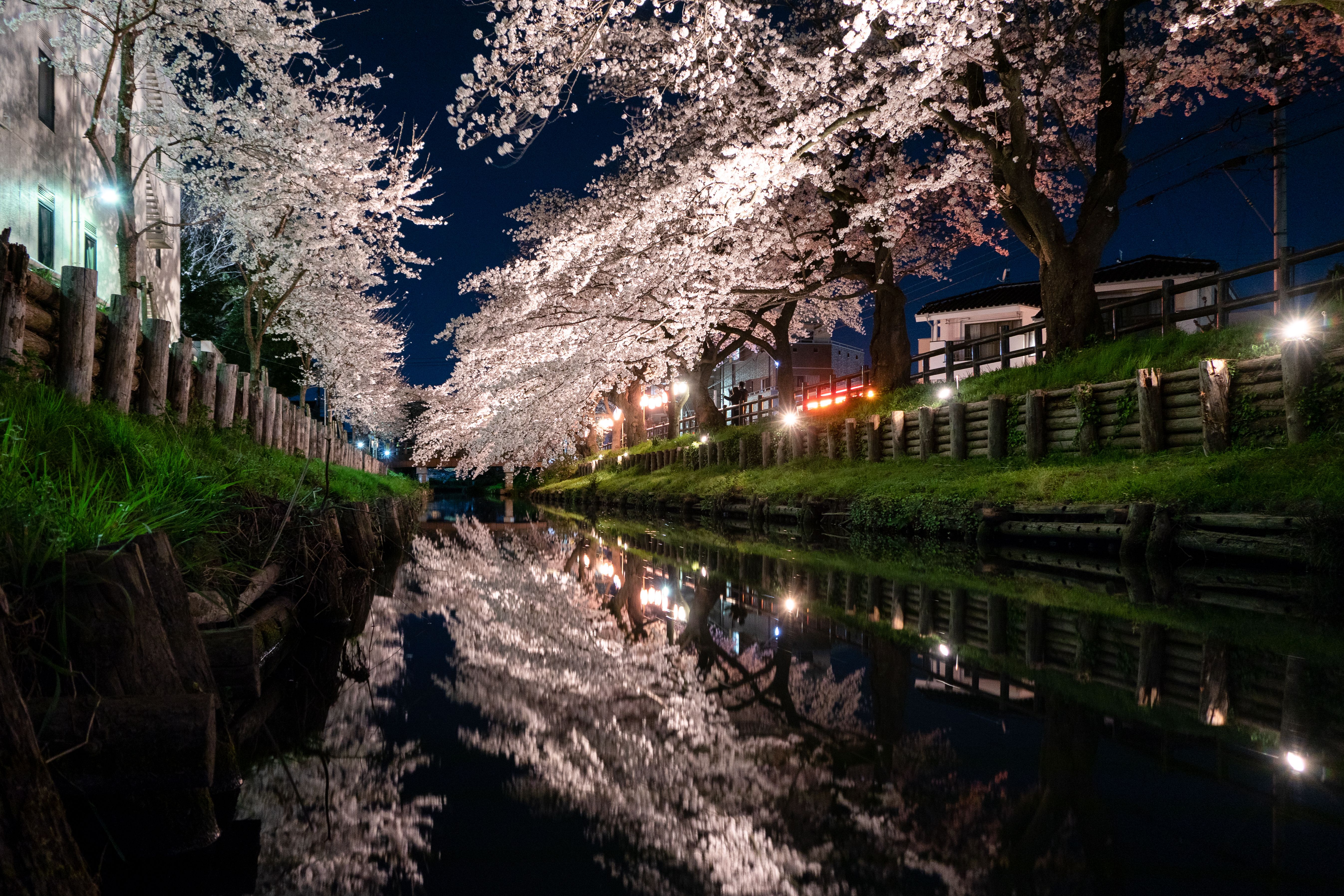 冰川神社冰川橋沿岸