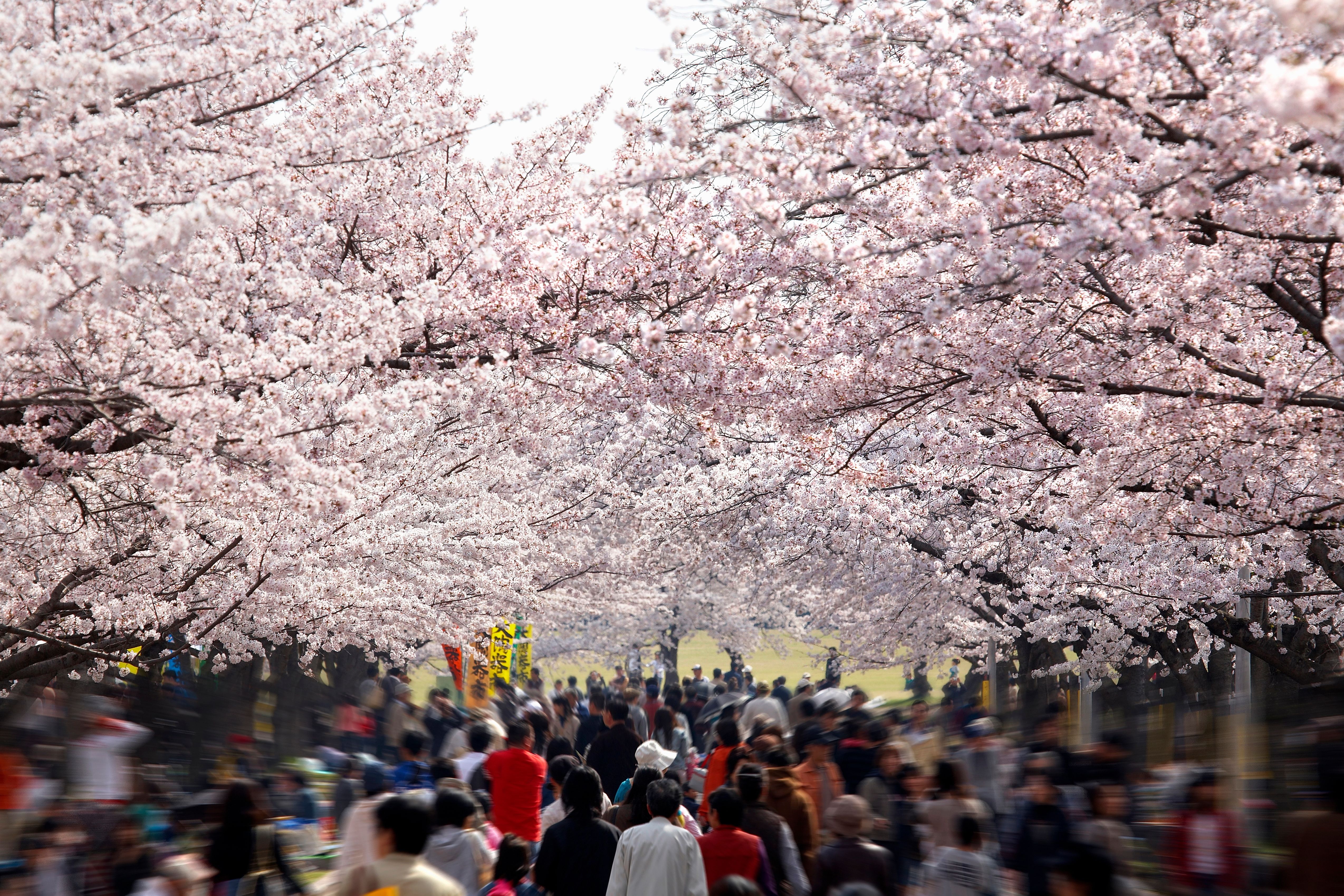 大阪萬博紀念公園