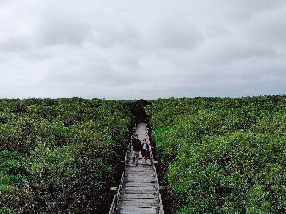 新豐紅樹林