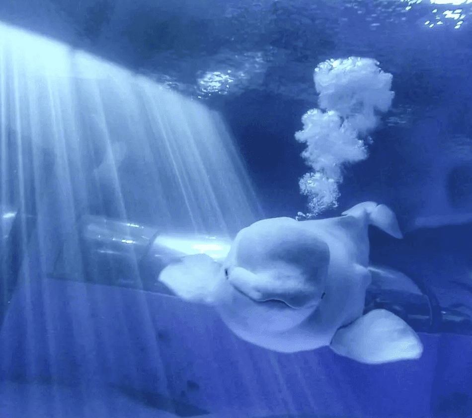 國立海洋生物博物館