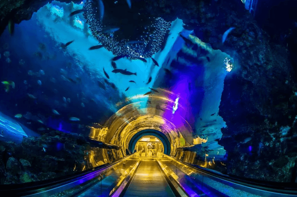 國立海洋生物博物館