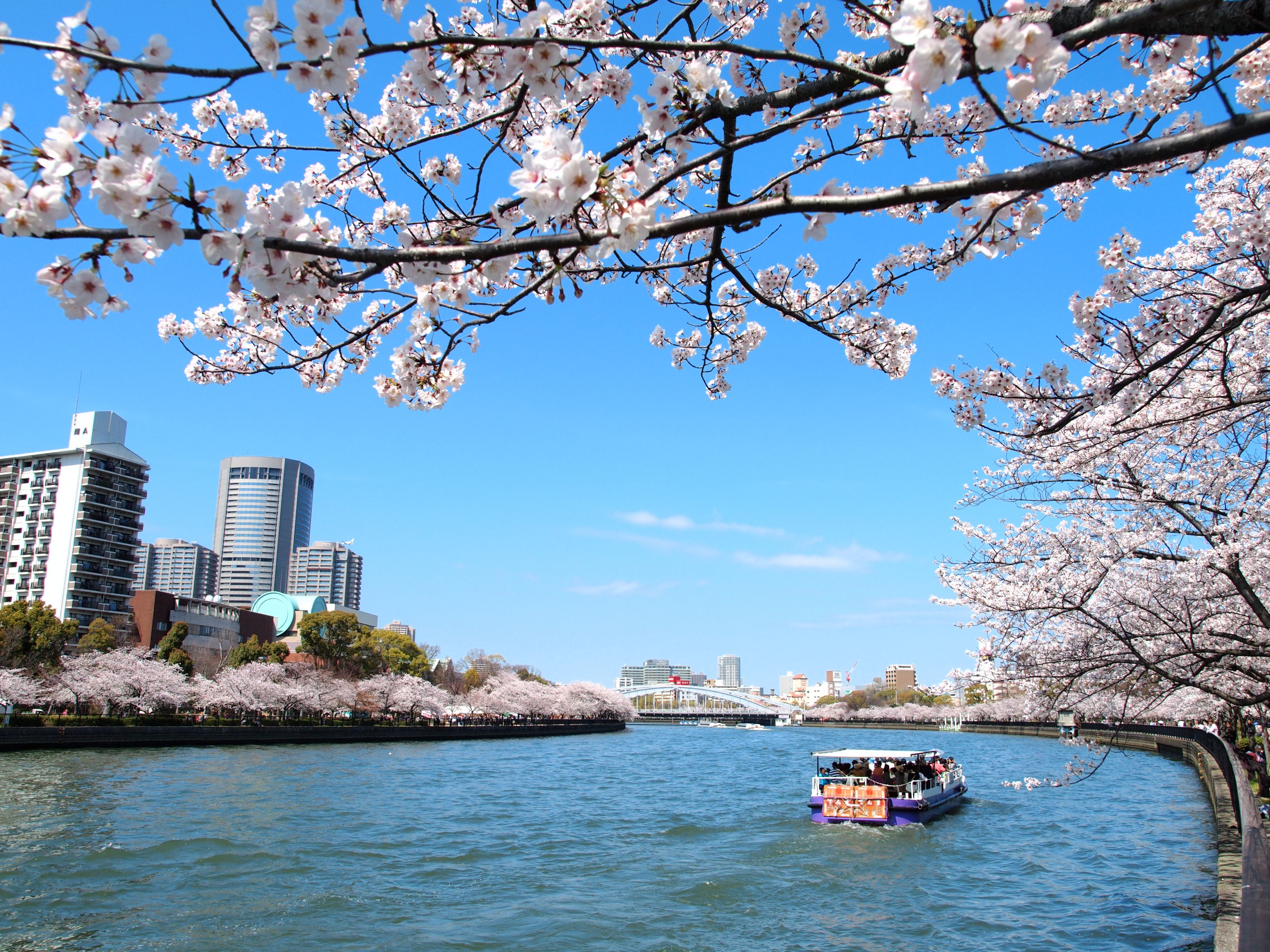 毛馬櫻之宮公園