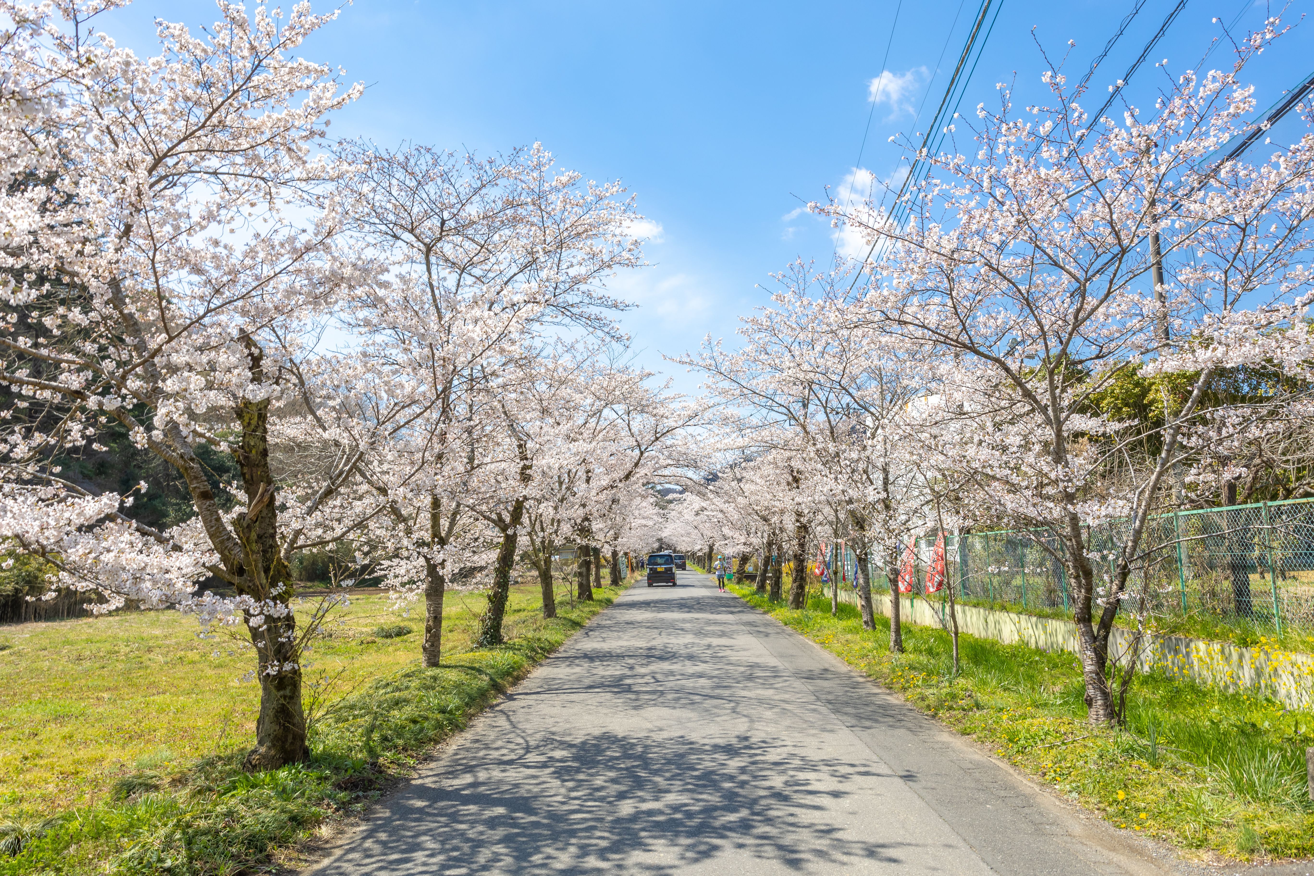 太平山縣立自然公園