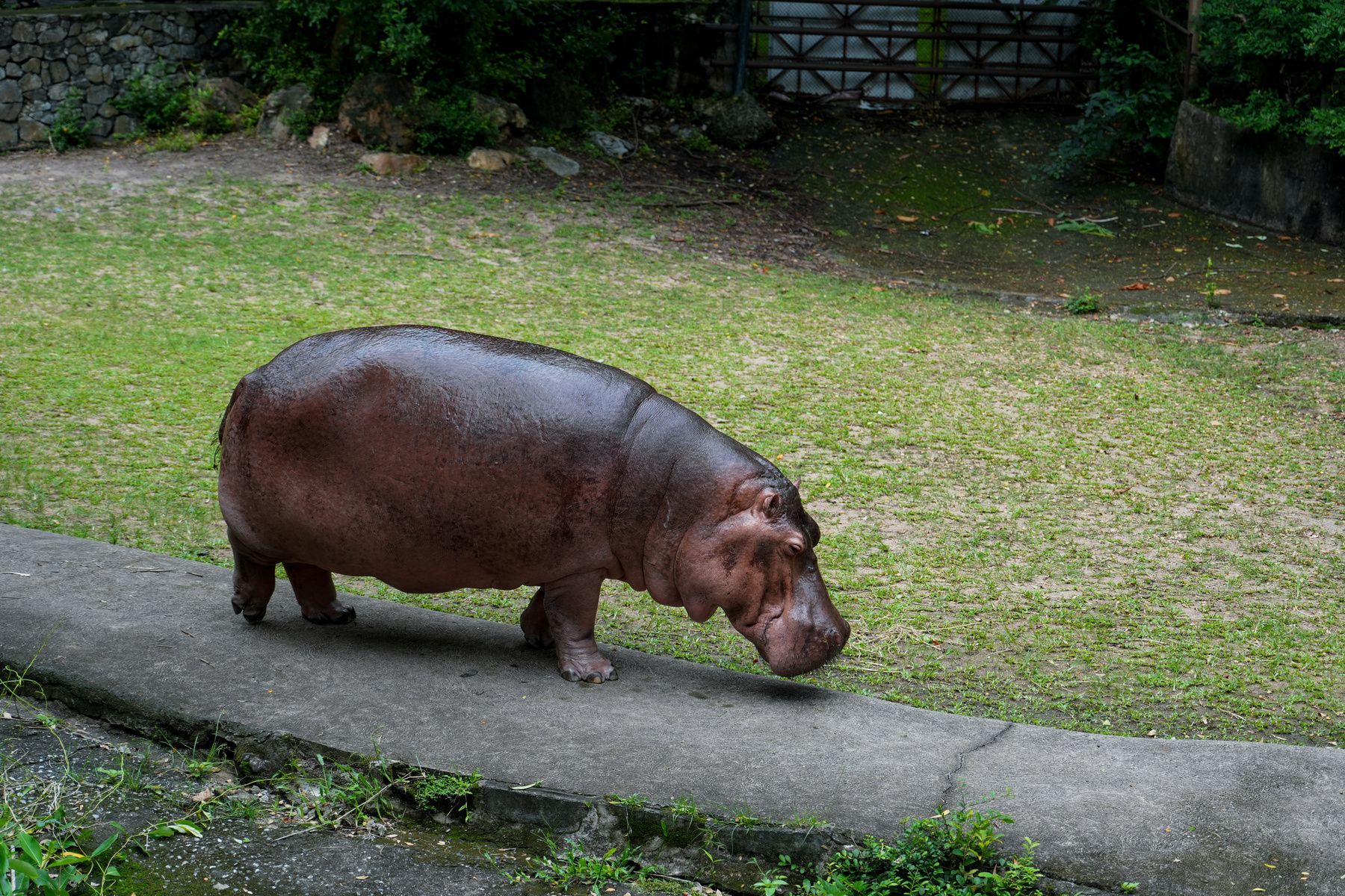 綠山國家動物園