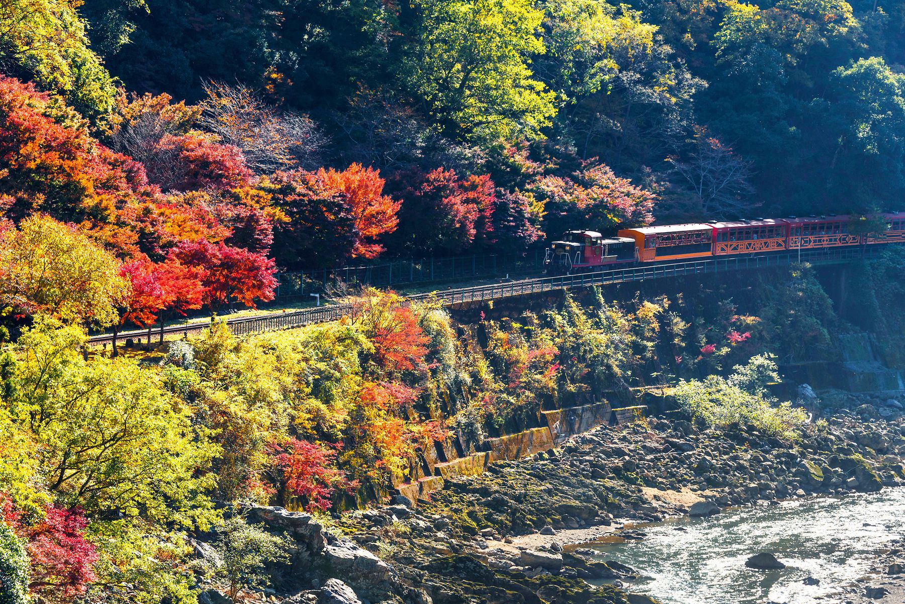 嵯峨野觀光小火車
