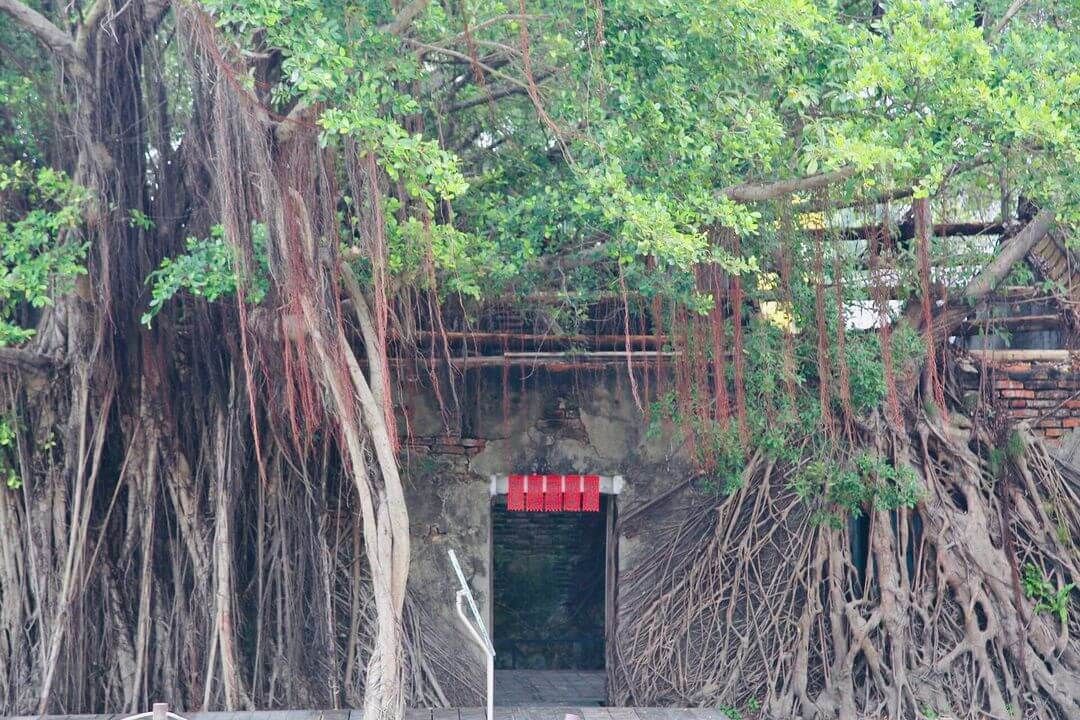 安平樹屋