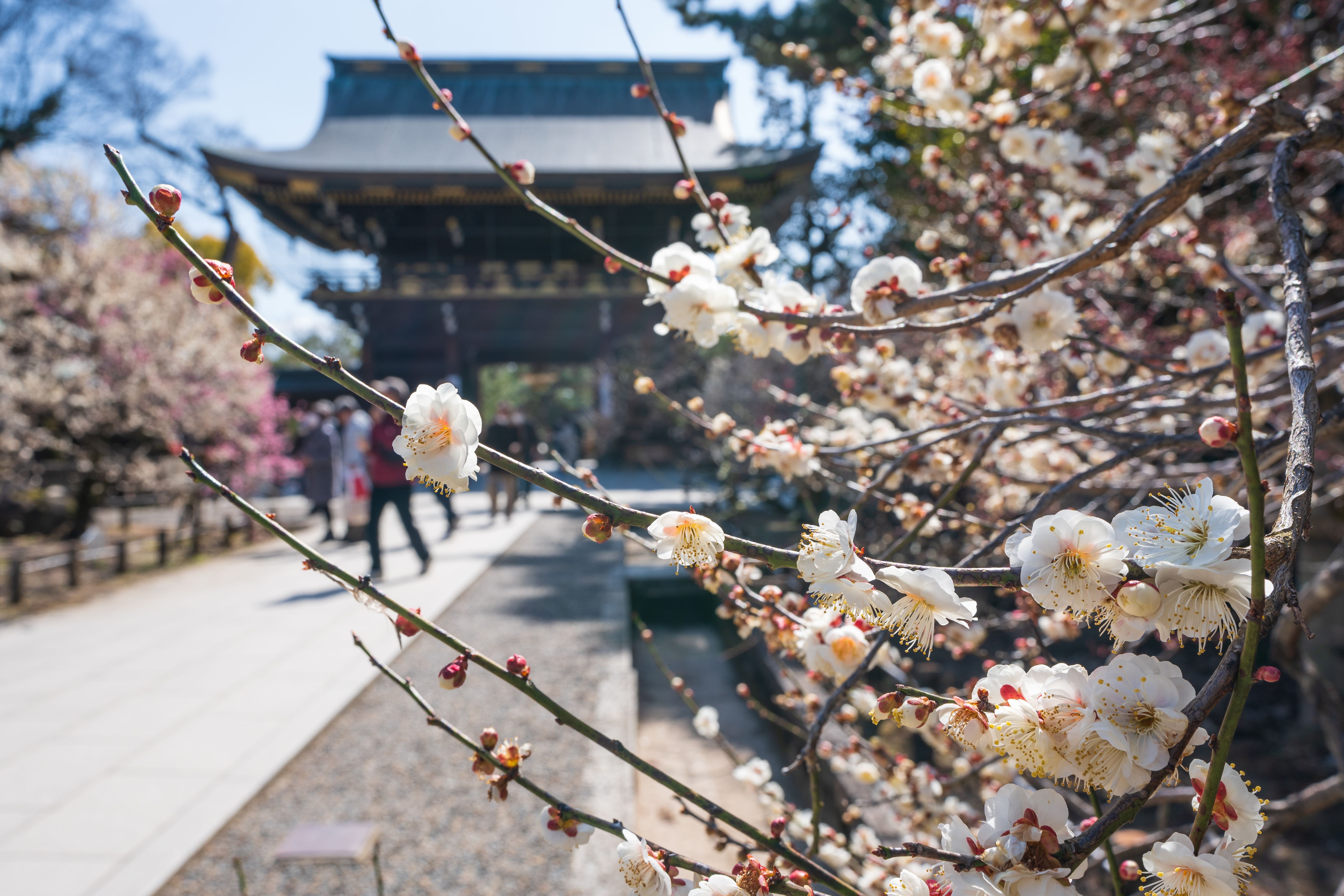 北野天滿宮
