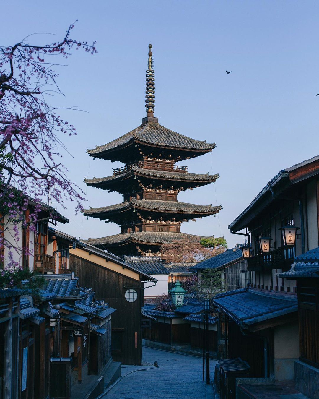 法觀寺 八坂之塔