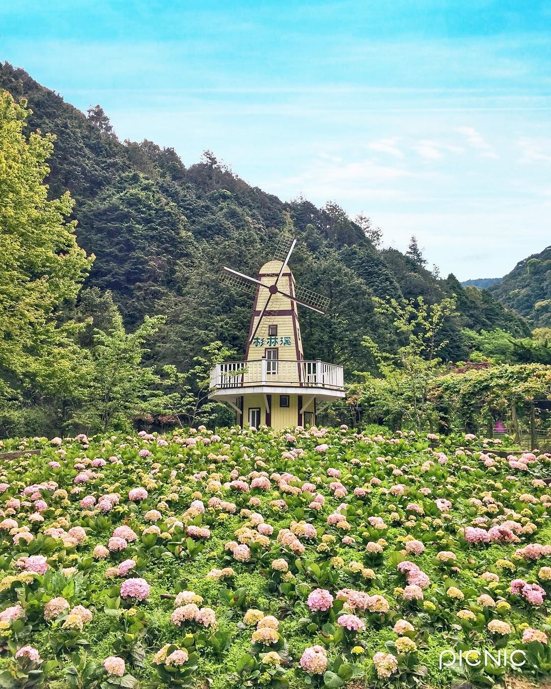 杉林溪森林生態渡假園區