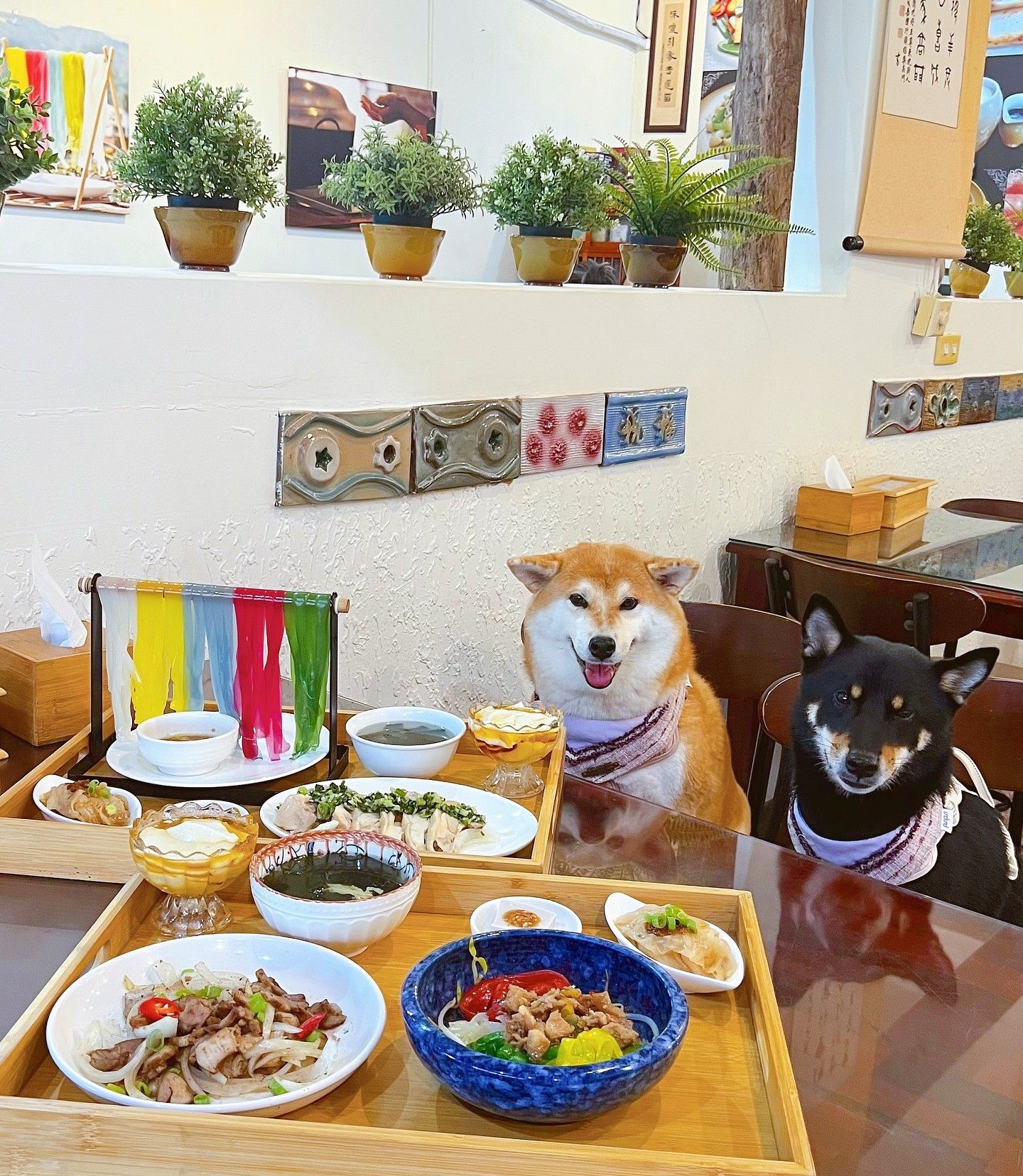 軒味屋彩色粄條