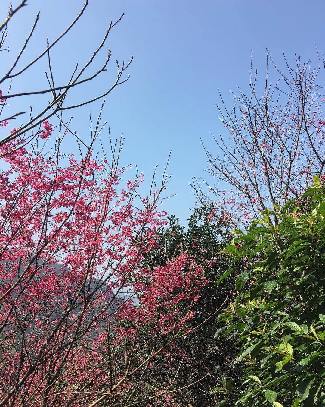 金瓜石黃金博物館