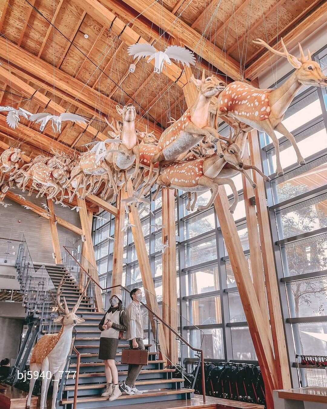 台南左鎮化石園區