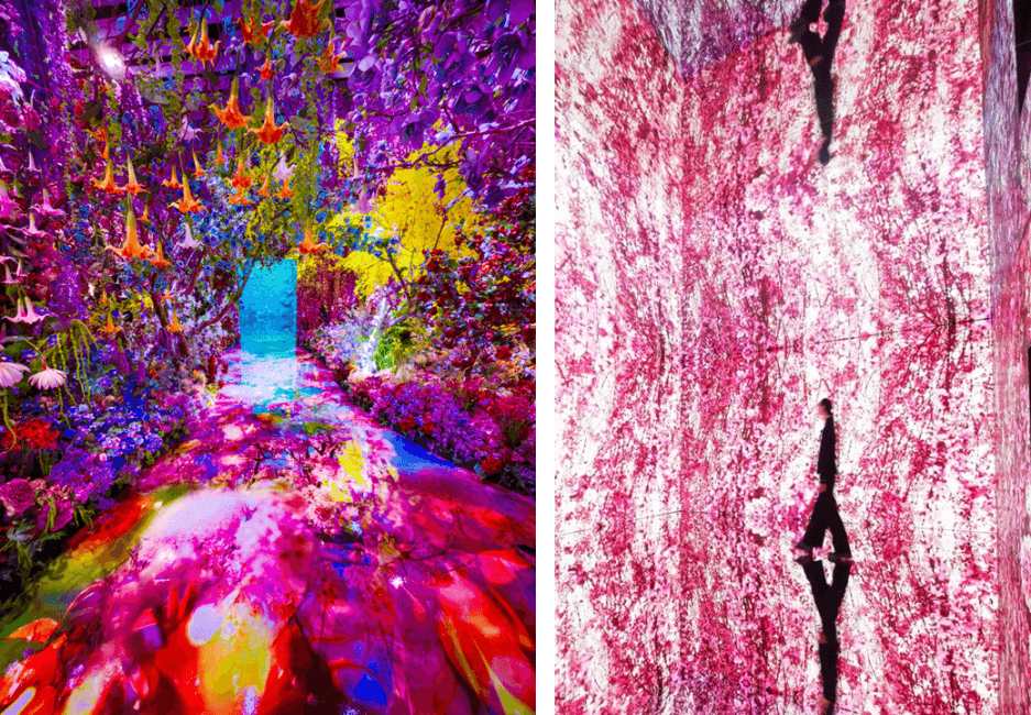 蜷川實花展:彼岸之光,此岸之影