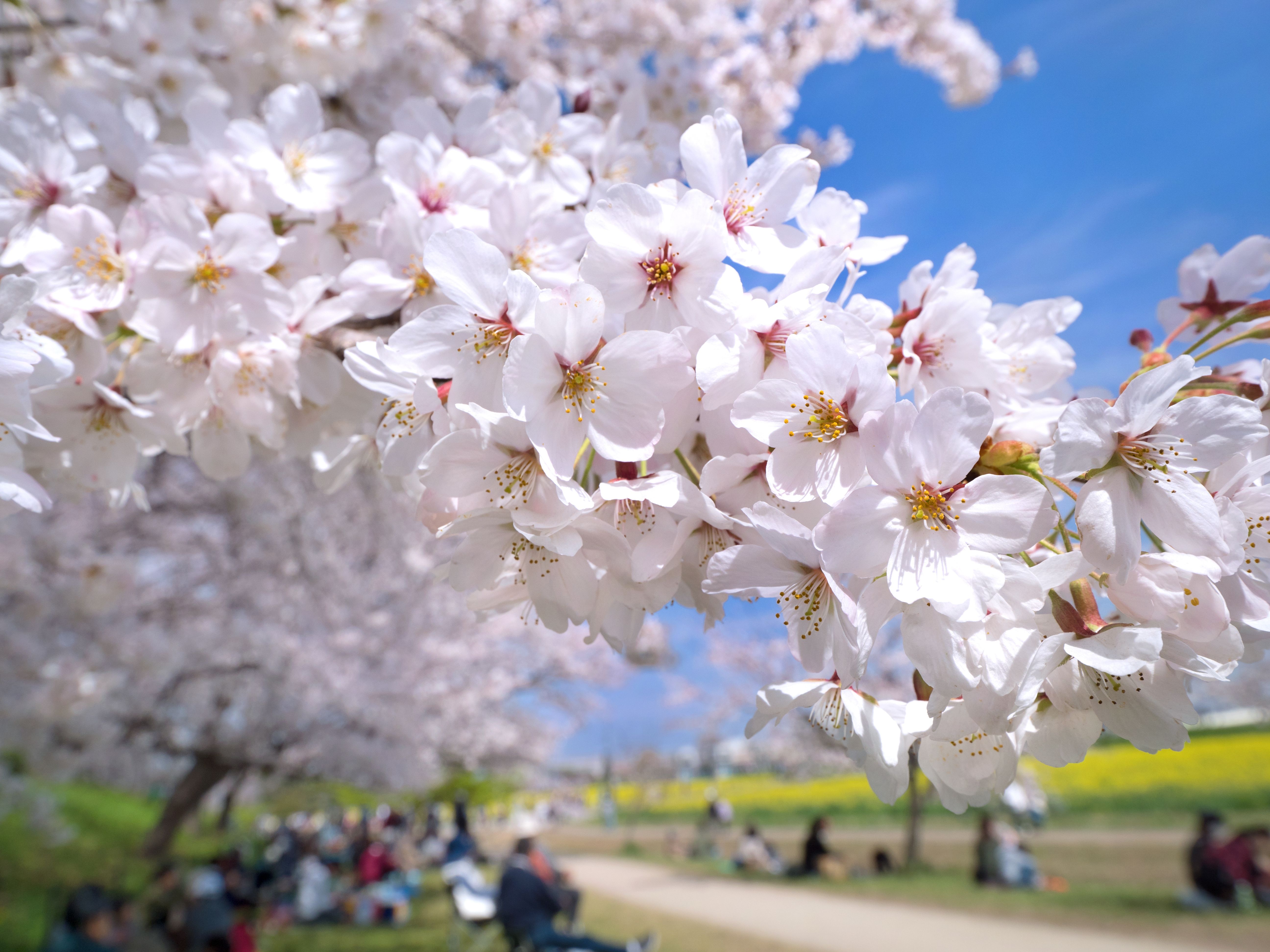 縣立權現堂公園