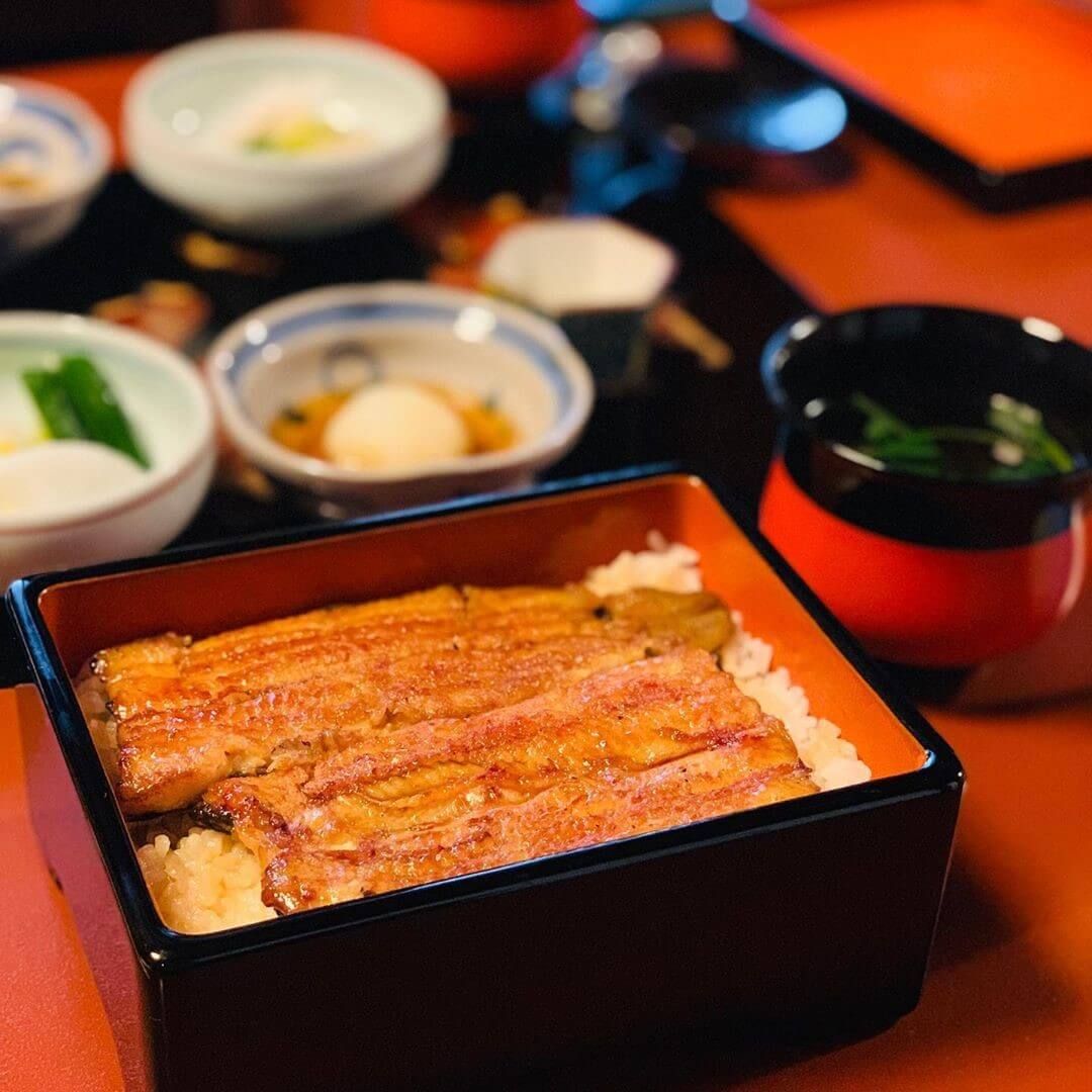 鰻魚小知識