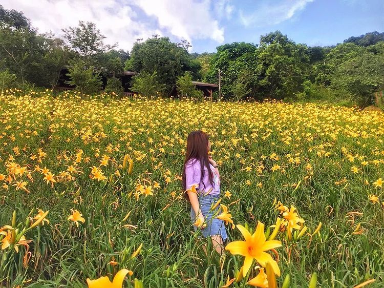 台中沐心泉休閒農場