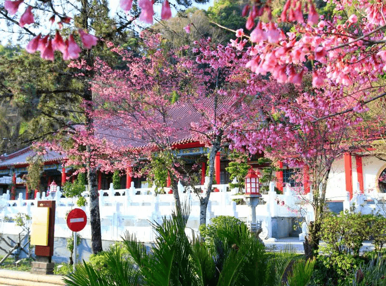 梨山賓館
