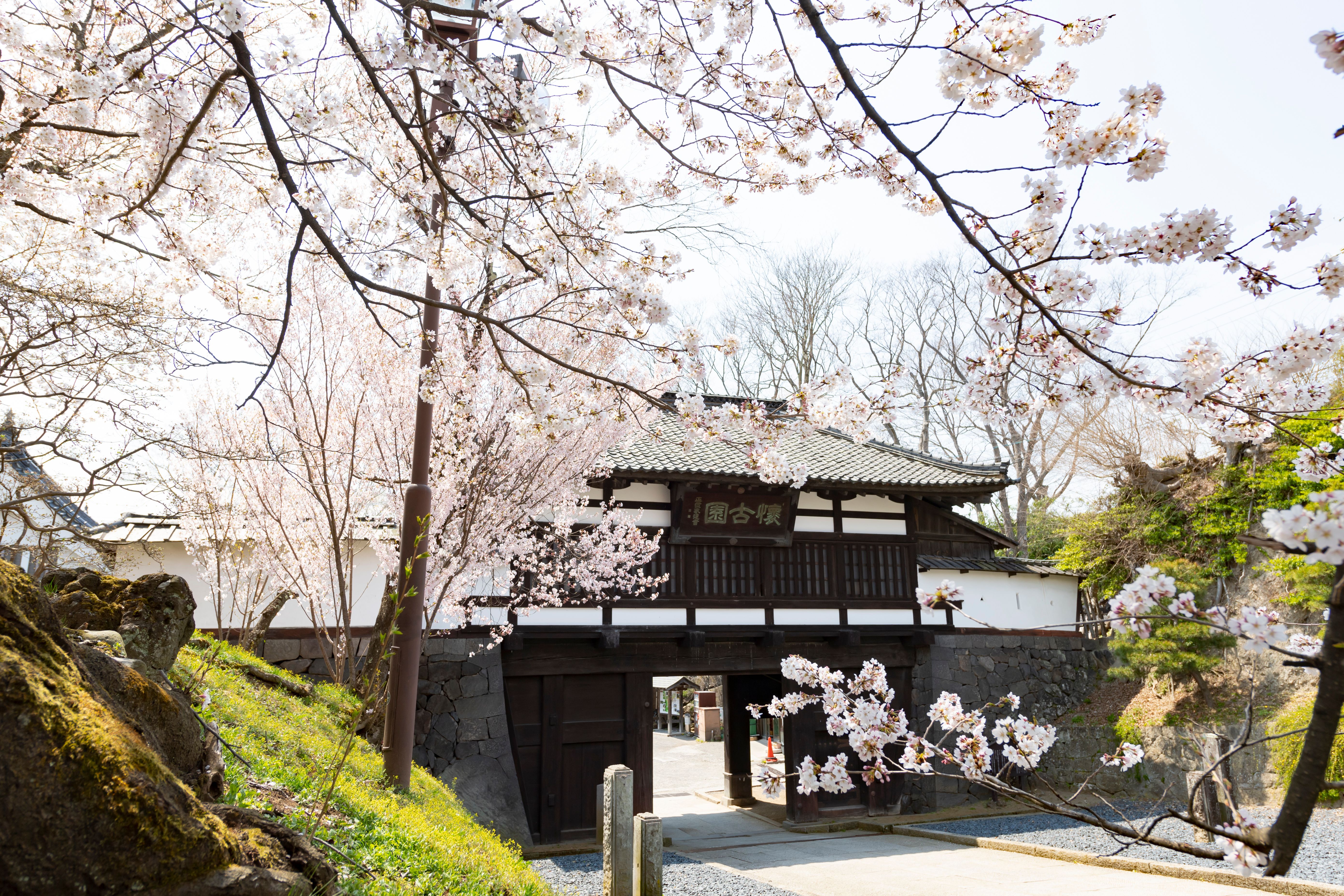 小諸城址-懐古園