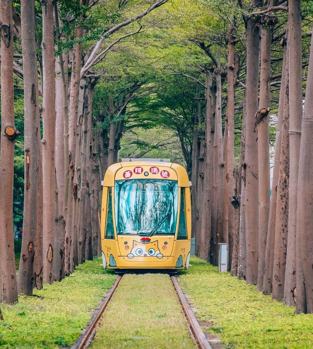 高雄輕軌龍貓隧道