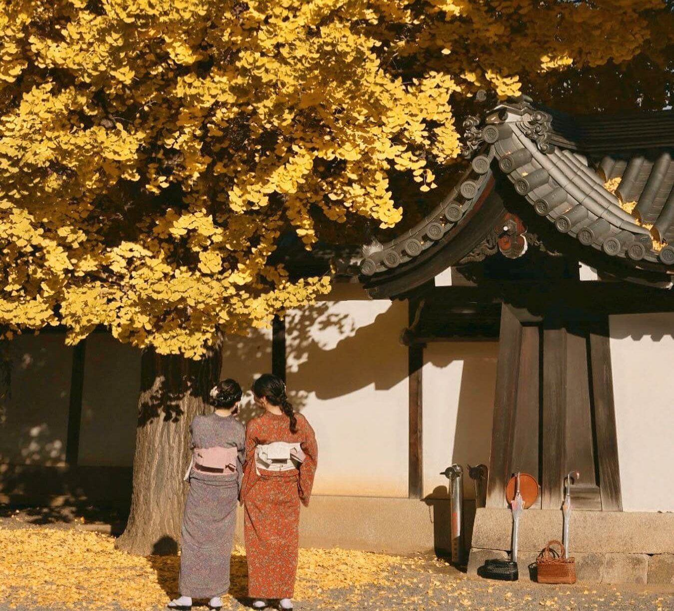 佛光寺