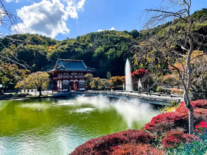 淨化之橋